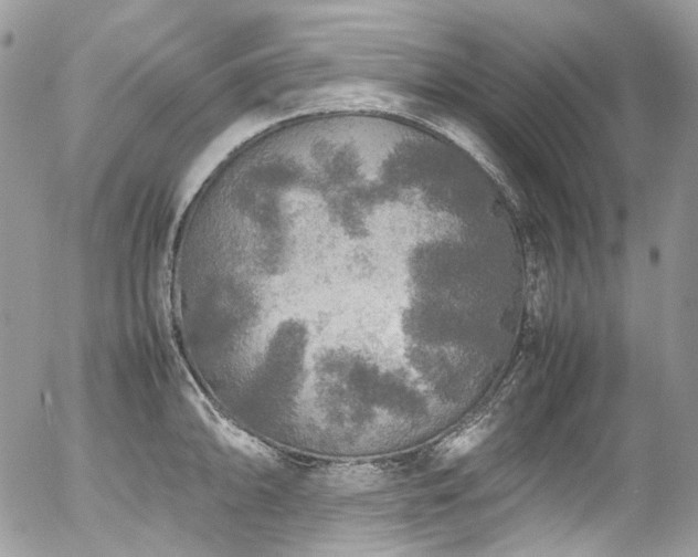 X0000054371094200507291040