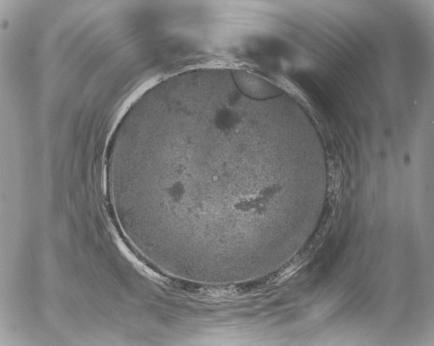 X0000054371095200507291040