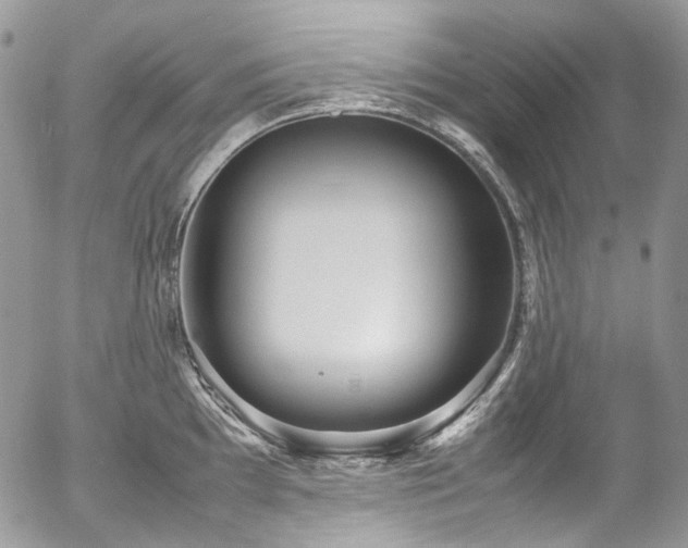 X0000054371097200507291040