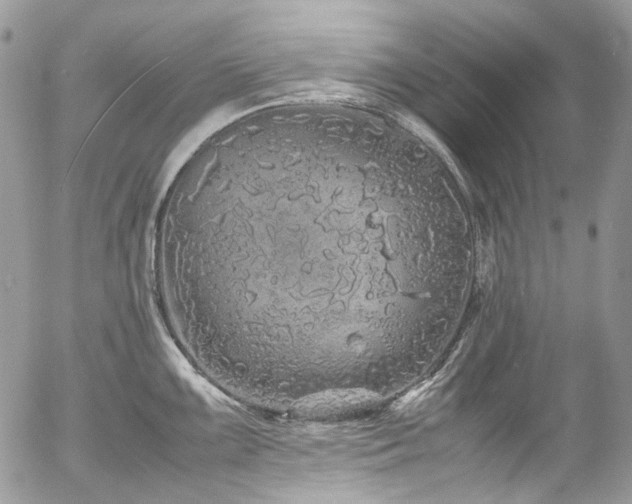 X0000054371099200507291040