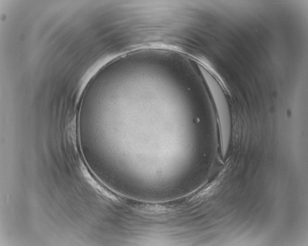 X0000054371100200507291040