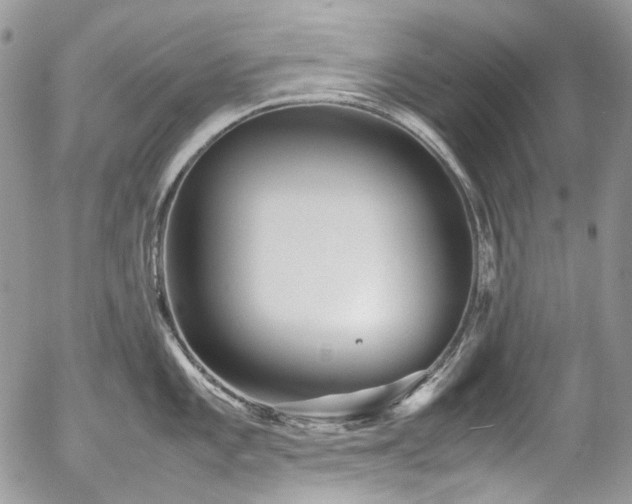 X0000054371101200507291040