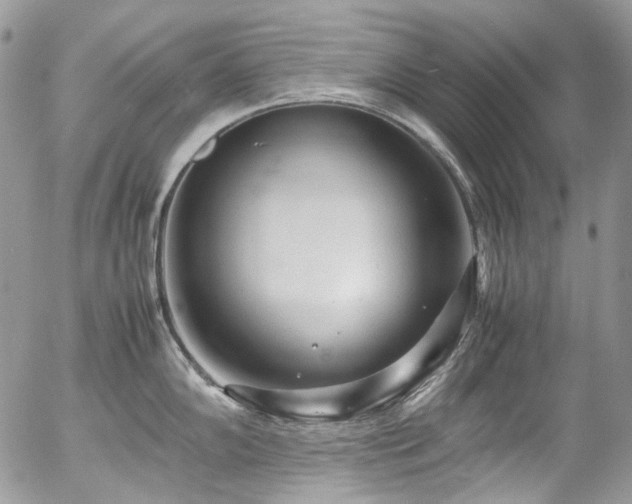 X0000054371102200507291040