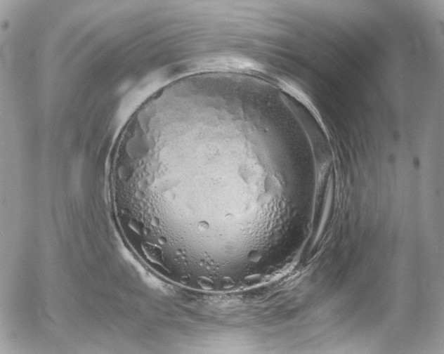 X0000054371103200507291040