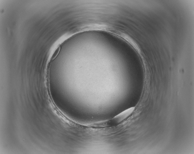 X0000054371104200507291040