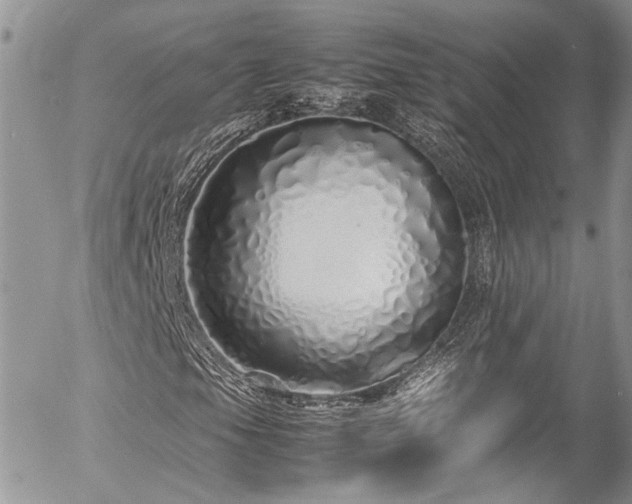 X0000054371105200507291039