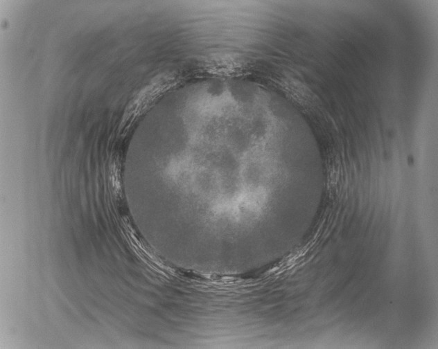 X0000054371106200507291039