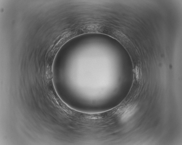 X0000054371107200507291039