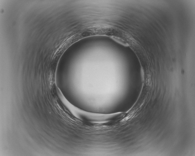 X0000054371108200507291039