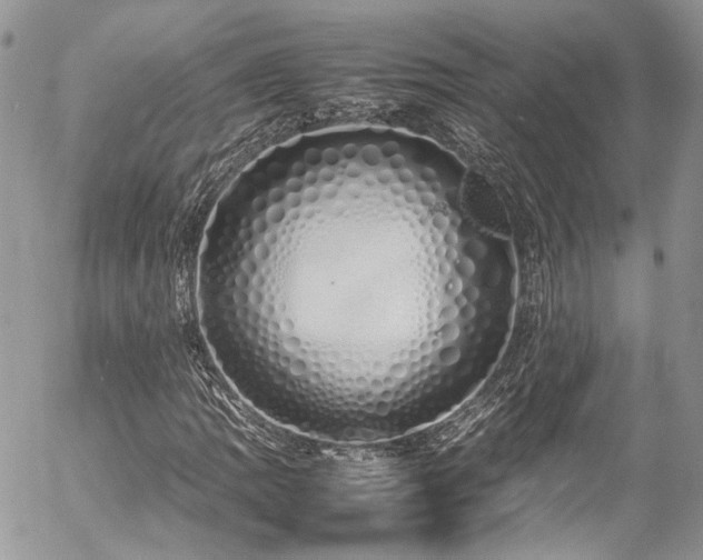 X0000054371109200507291039