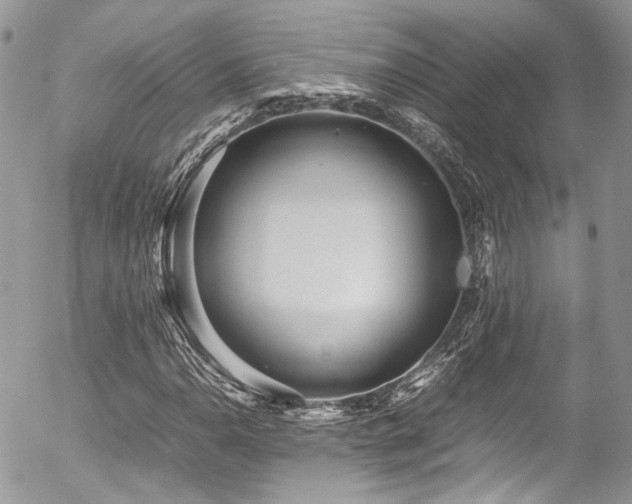 X0000054371110200507291039