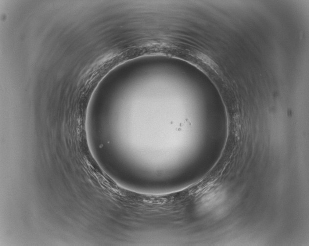 X0000054371111200507291039