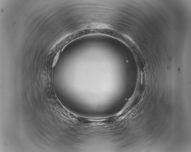 X0000054371112200507291040