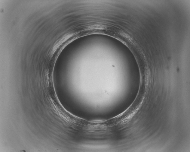 X0000054371113200507291040