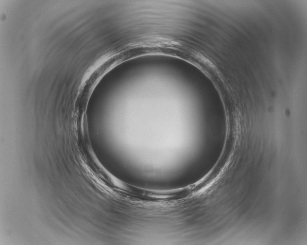 X0000054371114200507291040