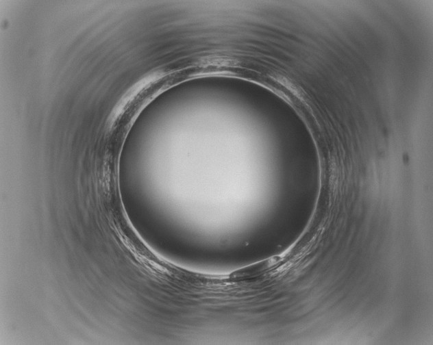 X0000054371115200507291040