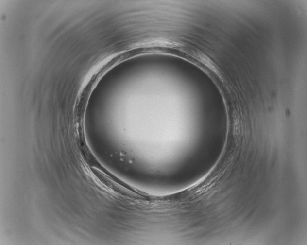 X0000054371116200507291040