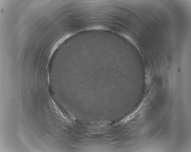 X0000054371117200507291040