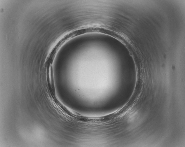 X0000054371118200507291040