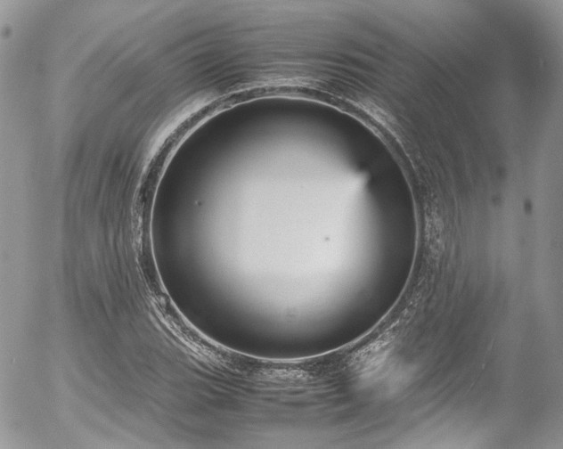 X0000054371119200507291040