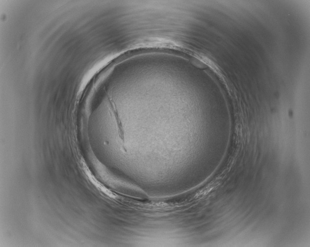 X0000054371120200507291040