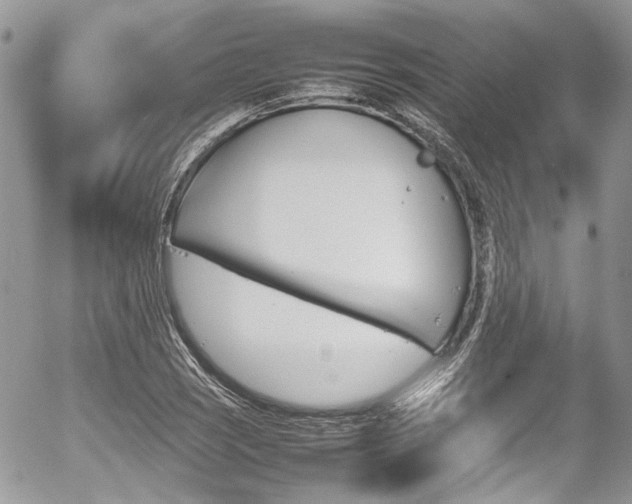 X0000054371121200507291040