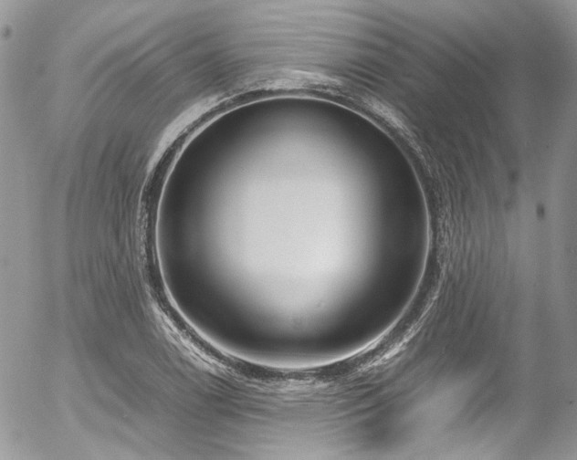 X0000054371122200507291040