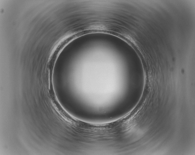 X0000054371123200507291040