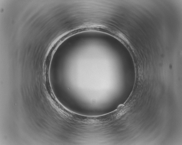 X0000054371124200507291040