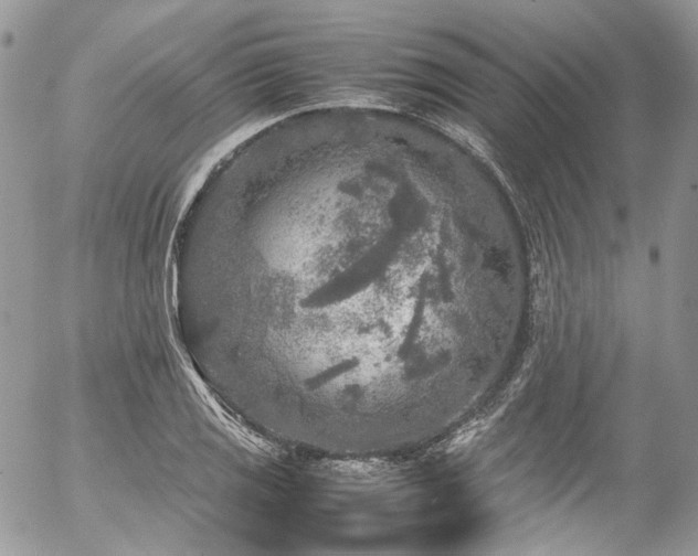 X0000054371125200507291040