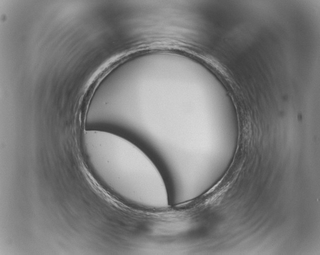 X0000054371126200507291040