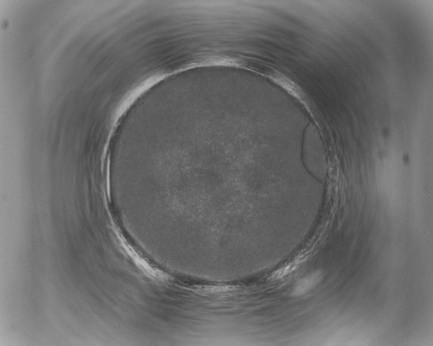 X0000054371127200507291040