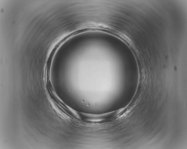 X0000054371128200507291040