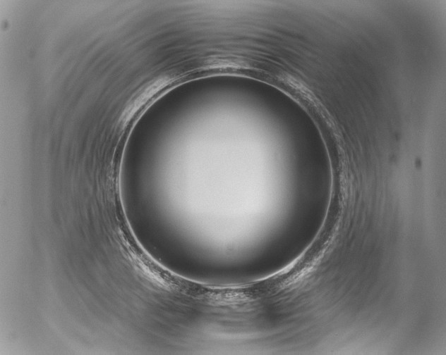 X0000054371129200507291040