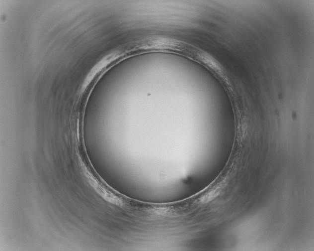 X0000054371130200507291040