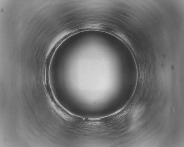 X0000054371131200507291040