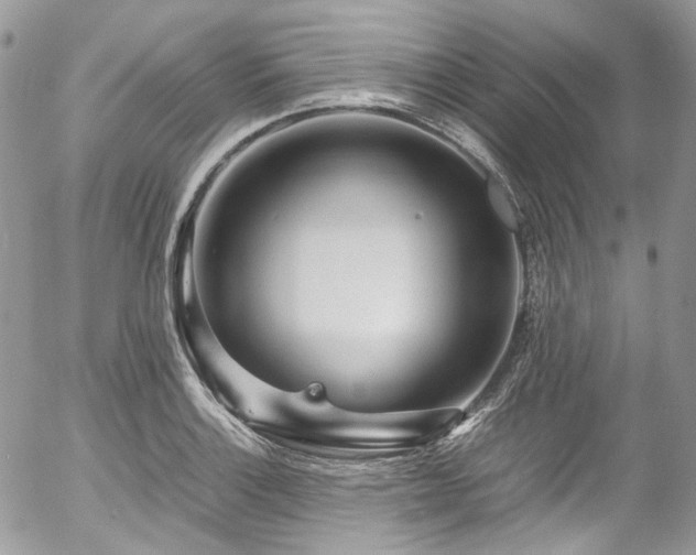 X0000054371132200507291040