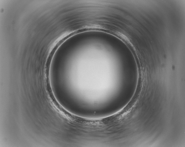 X0000054371133200507291040