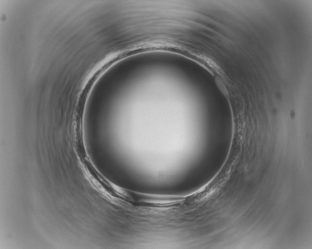 X0000054371134200507291040