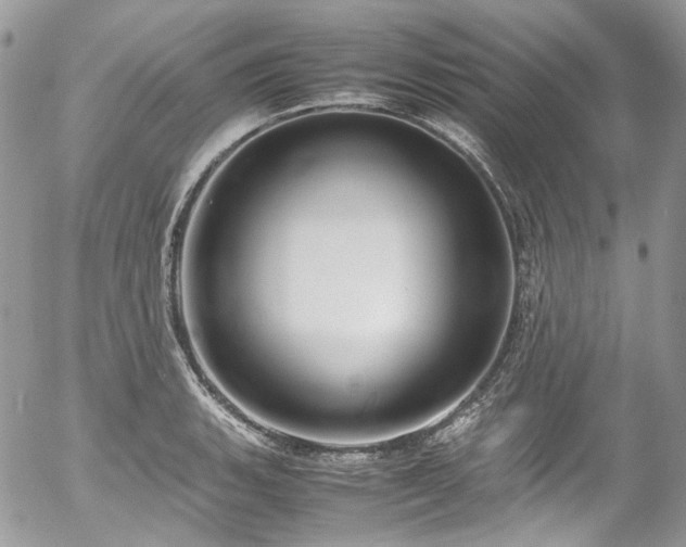 X0000054371135200507291040