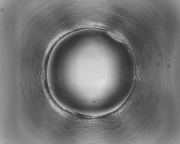 X0000054371136200507291040