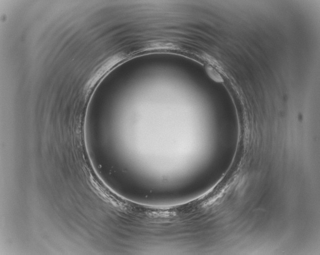 X0000054371137200507291040