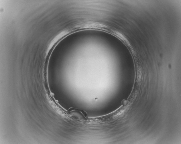 X0000054371138200507291040