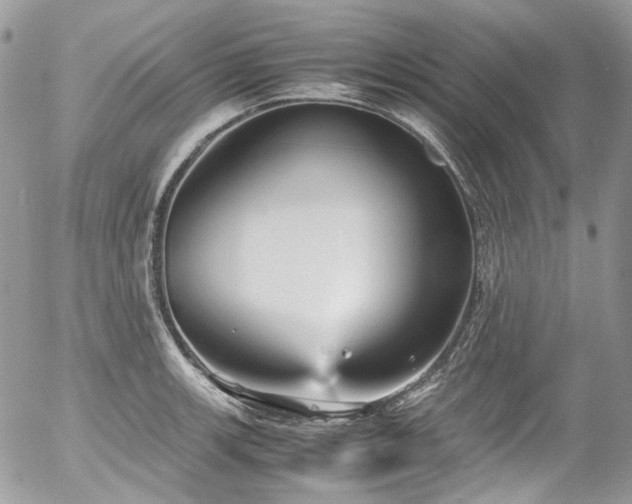 X0000054371139200507291040