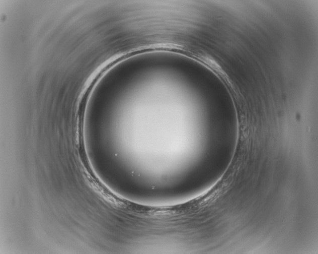 X0000054371140200507291040