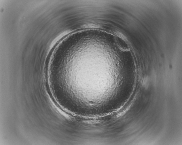 X0000054371141200507291040