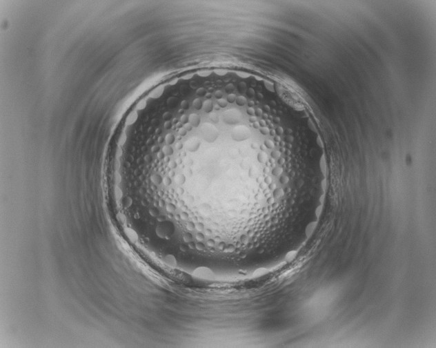 X0000054371142200507291040