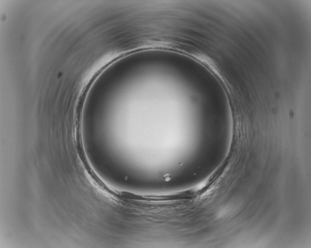 X0000054371143200507291040