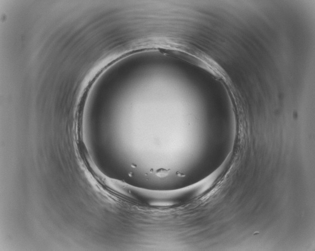 X0000054371144200507291040