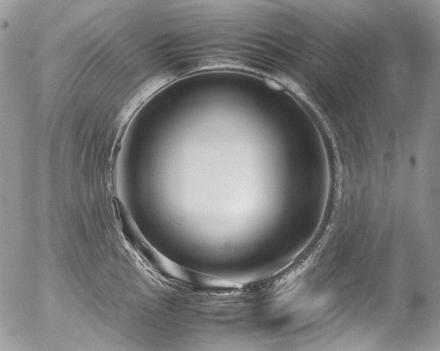 X0000054371145200507291040